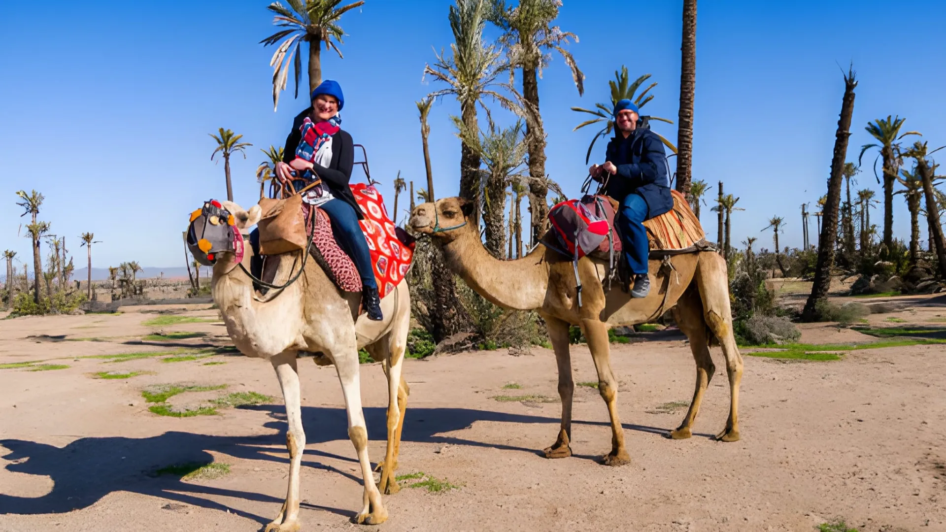 Camel Ride in Palmeraie