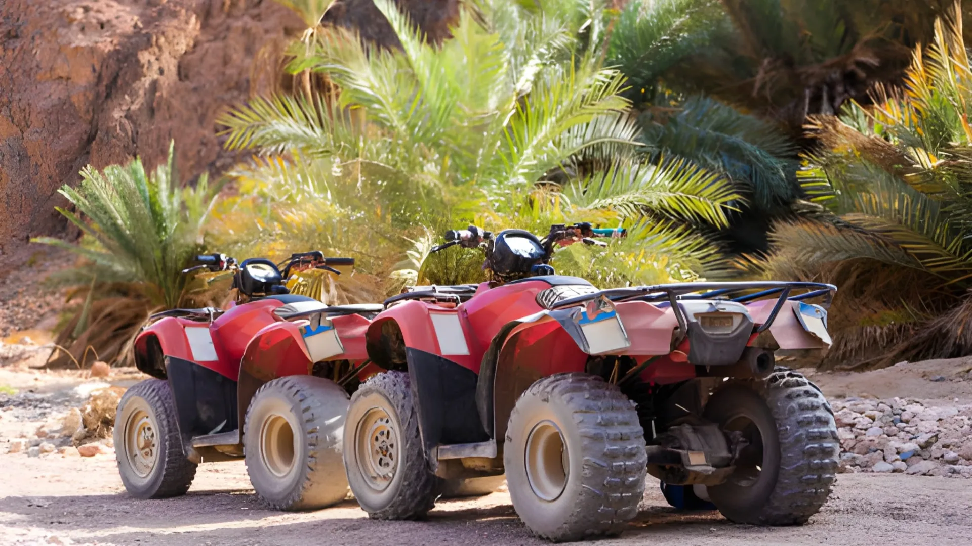 quad palmeraie marrakech