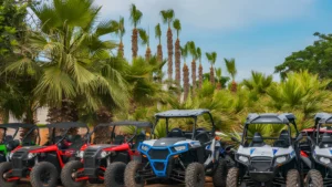 Quad Bike in Palmeraie