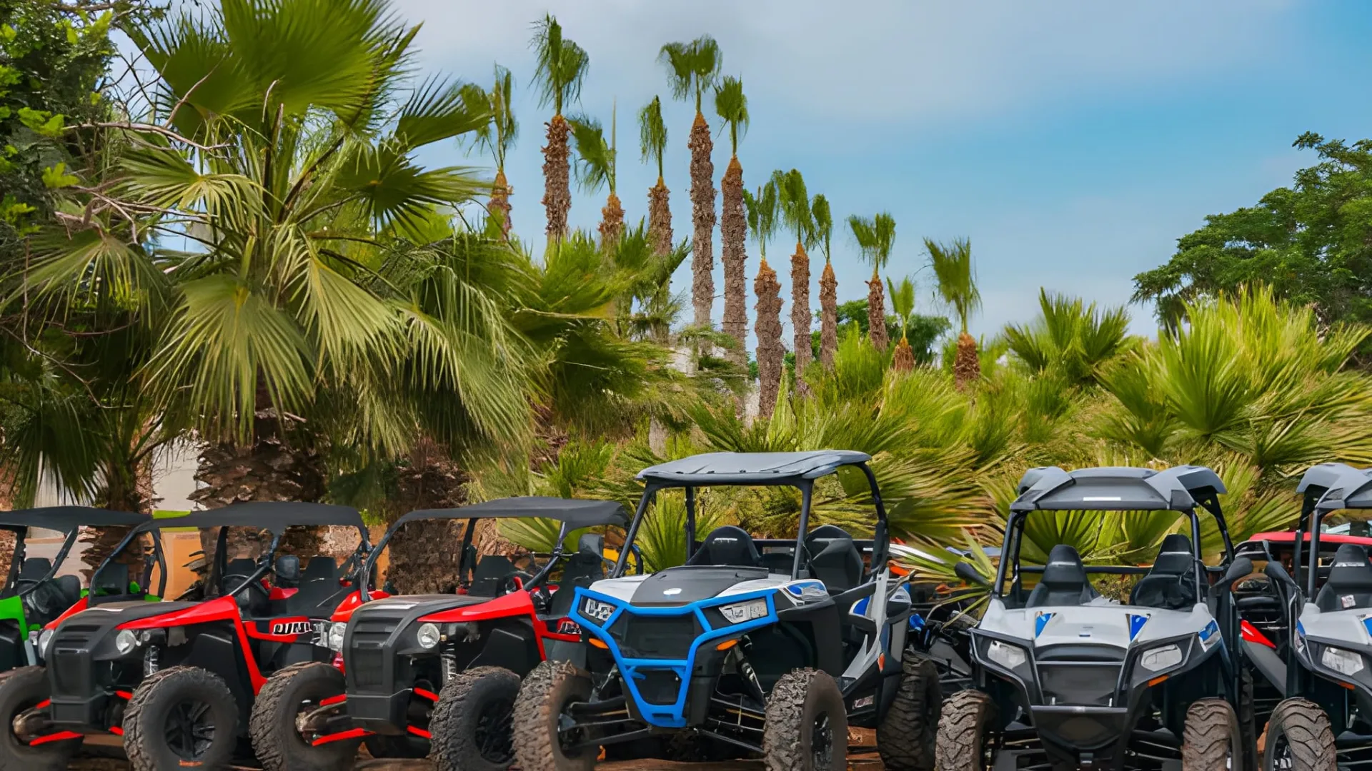 Quad Bike in Palmeraie