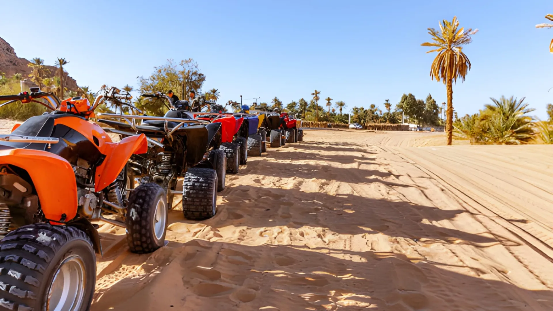 quad palmeraie marrakech