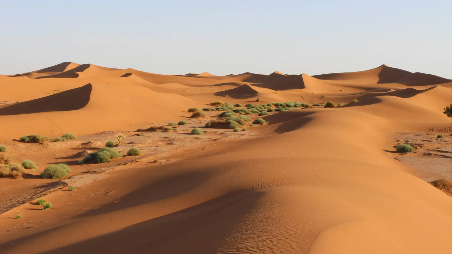 Marrakech To Erg Chebbi 3 Day Desert Tours